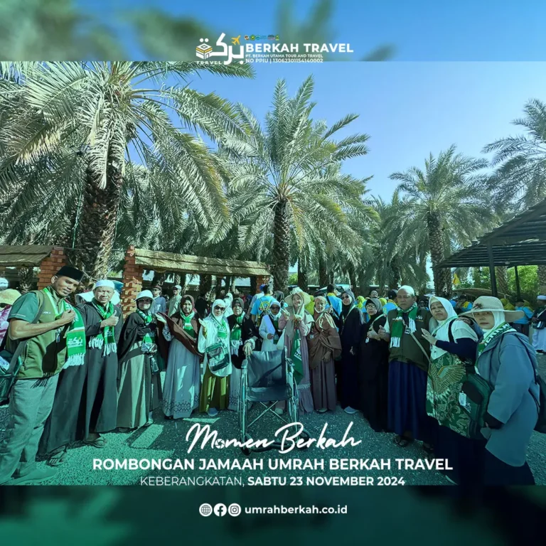kebun kurma madinah